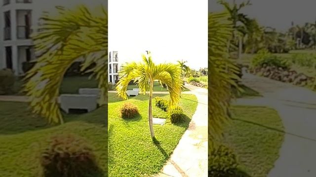 Когда впервые оказался на Кубе