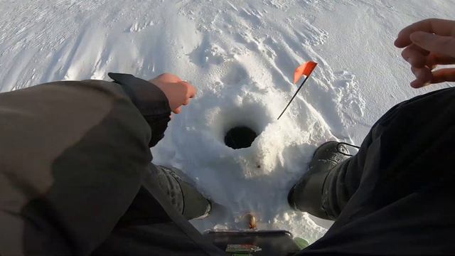 Зимняя рыбалка на Рузском водохранилище в глухозимье 2021.Ловля крупной плотвы в Курово. смотреть онлайн