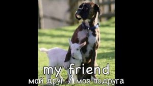 Английский для начинающих. 3 Introduction in English|Знакомство.