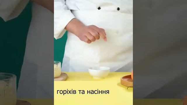 Блендер акумуляторний DYXON MEGAMIX 300 смотреть онлайн