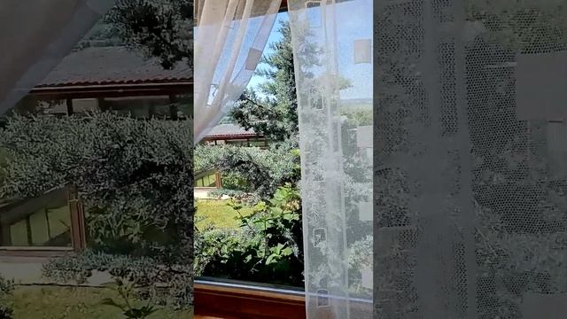 Выходные на даче? Обзор террасы и вид из окна (Германия) ??? смотреть онлайн