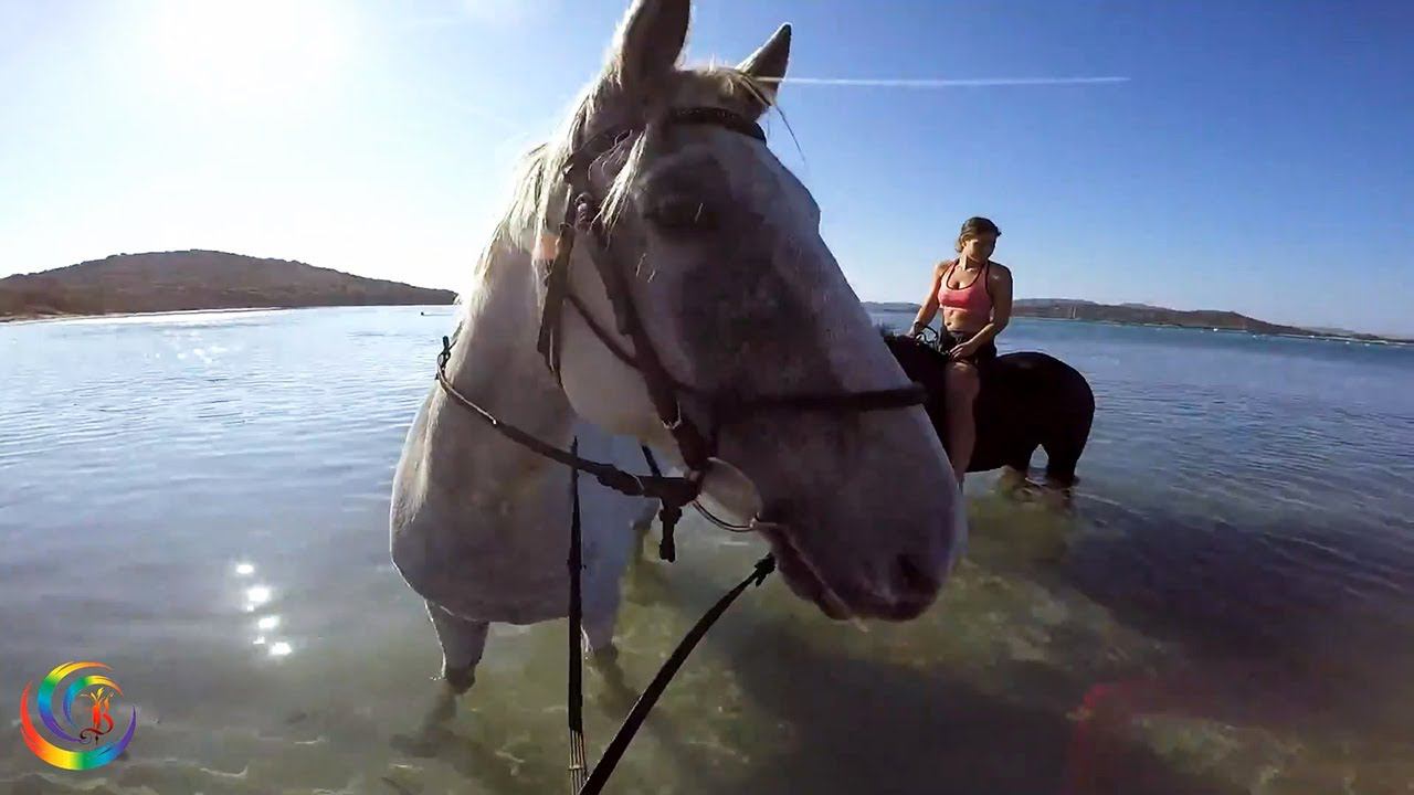 Diamond Rain - Follow The Rainbow (feat. AlimkhanOV A.)