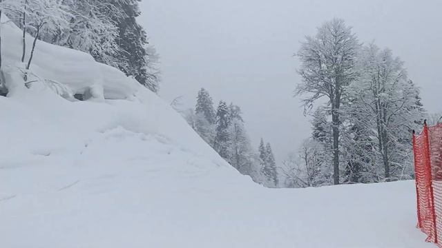 Краснодарский край, весна 2021 смотреть онлайн