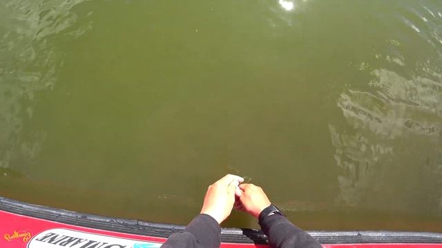 Осенний кубок клуба СДС по ловле на спиннинг с берега, Хищник осенью смотреть онлайн