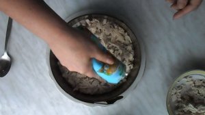 Салат с курицей , грибами и маринованными  огурцами .