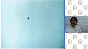 3 класс. Музыка. Филинова Т.А. Тема: «Люблю я грусть твоих просторов»