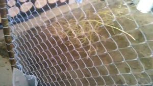 Загон для кур из - сетки рабицы