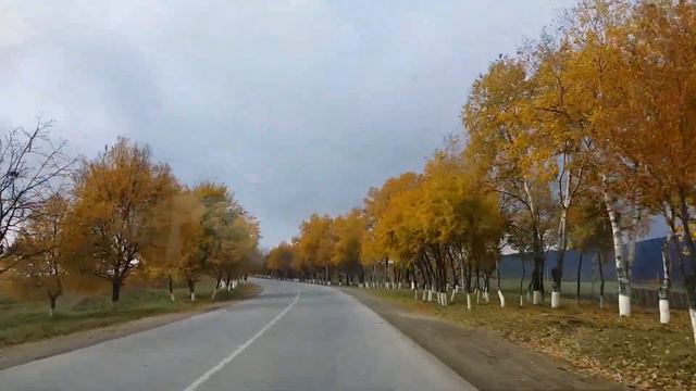 Шемаха смотреть онлайн