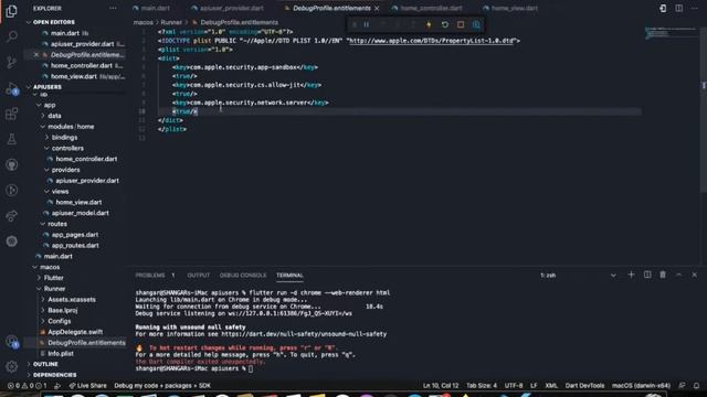 Socket exception error resolve in flutter app in desktop смотреть онлайн