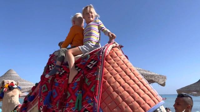 Отдых с детьми. Семейный отель Дрим Лагун Аквапарк Марса Алам. смотреть онлайн