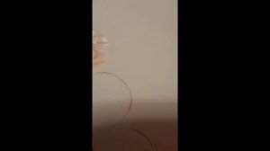 Ролик для теста (делаем вареники и пельмени)