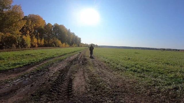 Прошёл за день 50км! Майская прогулка 2020. Екатеринбург. 37 по счёту с самой первой! смотреть онлайн