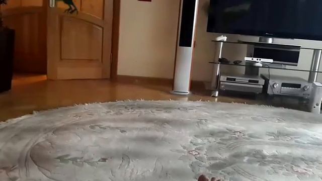 Вороны мутанты атакуют! смотреть онлайн