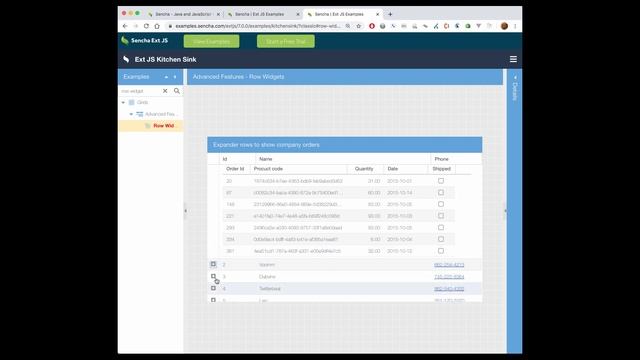 How to Implement Row Widget Components in Ext JS смотреть онлайн