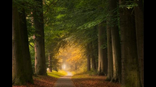 Музыка для сна. Спокойная музыка. Природа. Музыка для души. смотреть онлайн