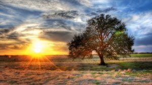 Король И Шут - Утренний Рассвет