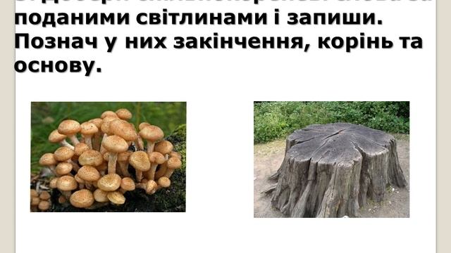 ср закінчення основа слова смотреть онлайн