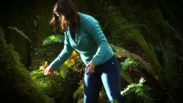 Flitter Fairies: enchanting new toy! смотреть онлайн