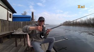 УКЛЕЙКА на МАХОВУЮ УДОЧКУ. ЛОВИМ. ЖАРИМ. ЕДИМ.