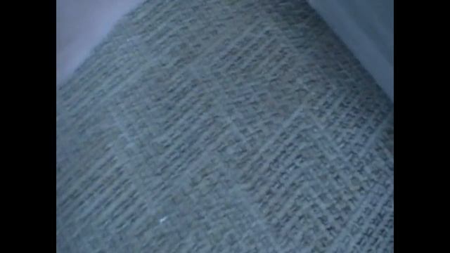 Как бороться с чешуйницами в домашних условиях смотреть онлайн