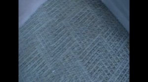 Как бороться с чешуйницами в домашних условиях