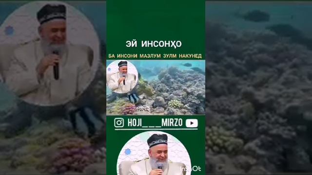Рузи Киёмат Хаки мазлум аз золим гирифта мешавад смотреть онлайн