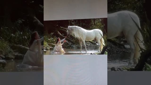 Я и мифическое животное смотреть онлайн