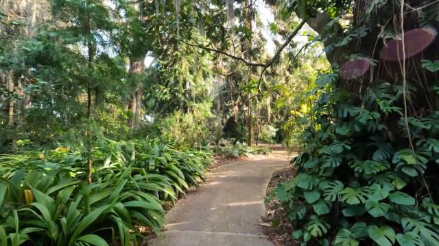 Leu Gardens Jan 2023 смотреть онлайн