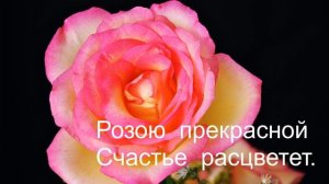 Песня " Розы". Слова  В. Жуковского.