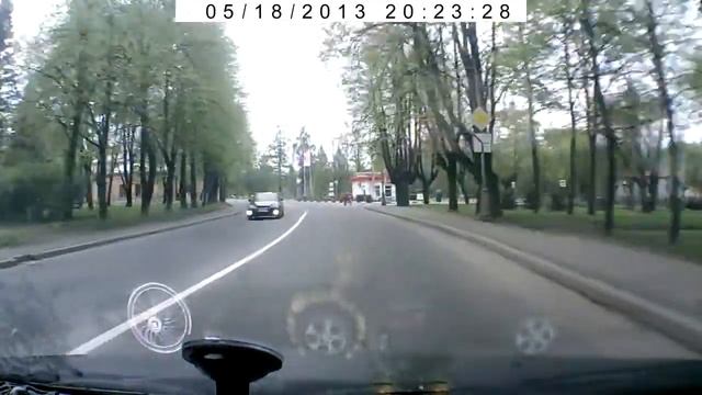 Так переходят дорогу в г Пушкин