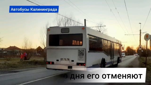 Сегодня последний день работы автобусного маршрута №12 "Южный вокзал - Левитана" смотреть онлайн