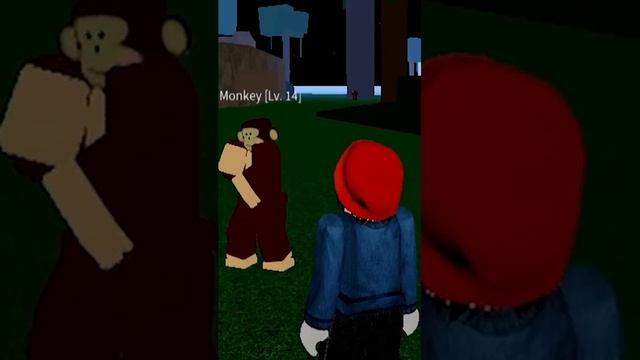 Real Or Fake Monkey ? #roblox #minhmama #memes #funnyvideos #bloxfruits #shorts смотреть онлайн