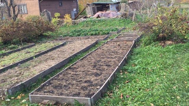 ГРАНИЦЫ МОЕГО САДА. Ролик по просьбе зрителей. Обхожу свои владения, сад, огород, плодовый сад. смотреть онлайн