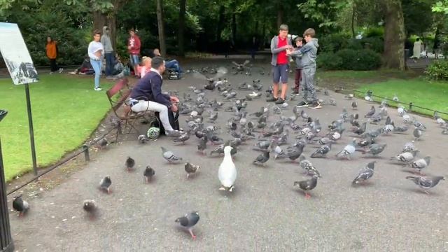 Discover Dublin, Ireland- The Country’s Capital