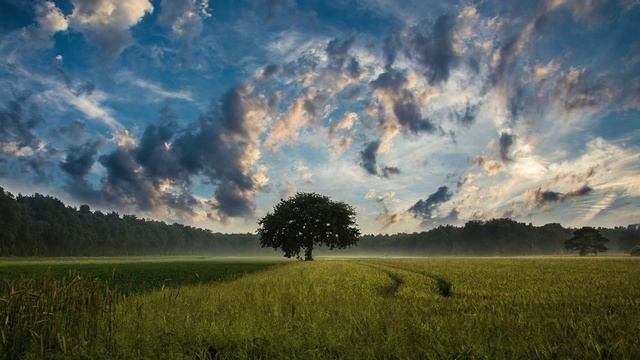 "Łódki" - Andrzej Korycki смотреть онлайн