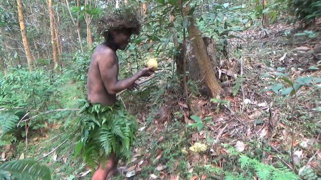 Survival Skills - Smart Girl Using Strategy To Catch The Aboriginal Guy Intent On Stealing Pears смотреть онлайн