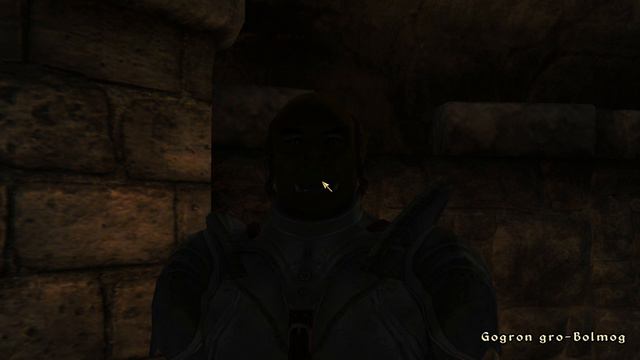 Day 124 - Killing Adoring Fan Every Day Until Elder Scrolls Skyblivion is Released смотреть онлайн