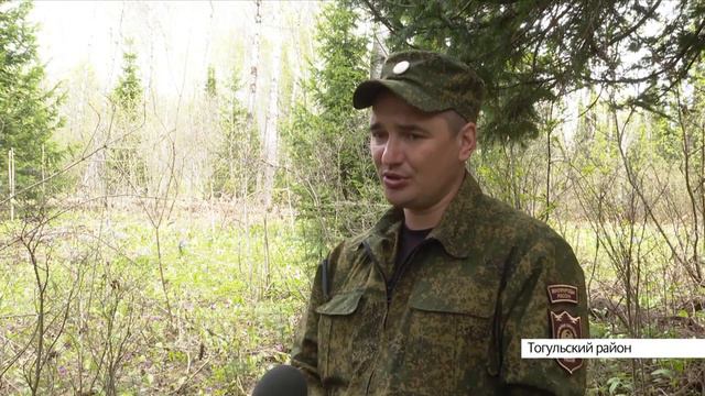 29 видов краснокнижных растений и 44 вида животных обнаружили в Алтайском нацпарке «Салаир» смотреть онлайн