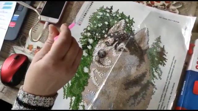 #Учимсядома. Учителя школы 1208 на карантине смотреть онлайн