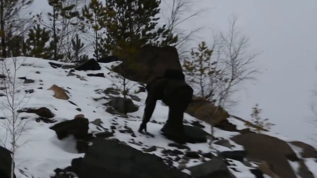 Букс на ниве памятный день 19.01.2019