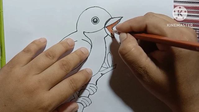 Common Nightingale Outline Drawing Easy || How to Draw Nightingale Step By Step ??|| смотреть онлайн