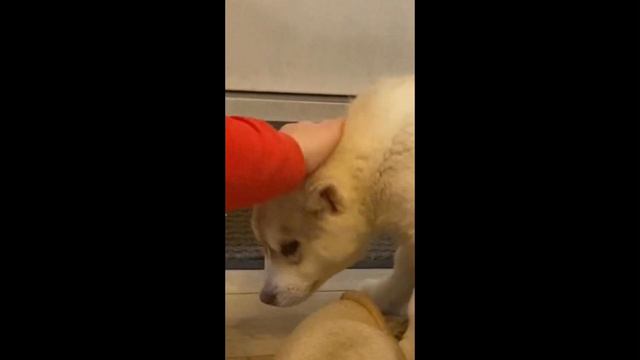 ТА САМАЯ ДАТА | КТО ЭТО? смотреть онлайн