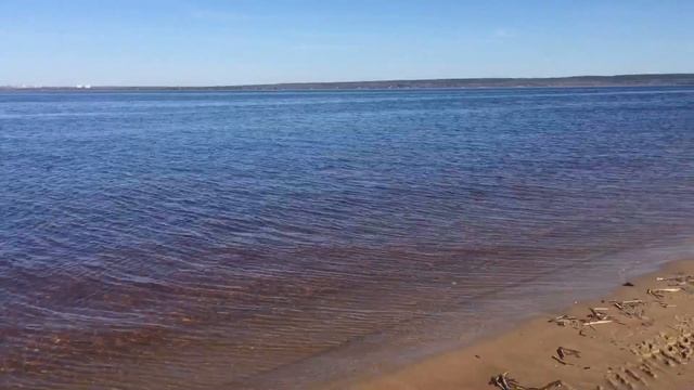 Карантин на даче || Чужая собака не уходит?Самоизоляция?03.05.2020