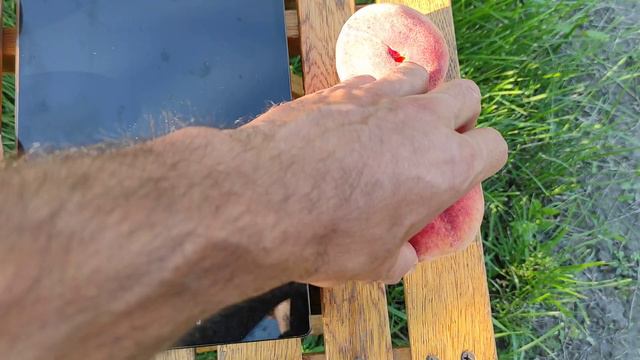 Персик Кросби