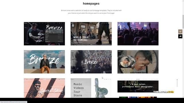 Bronze - A Professional Music WordPress Theme parallax photo Website Builder смотреть онлайн