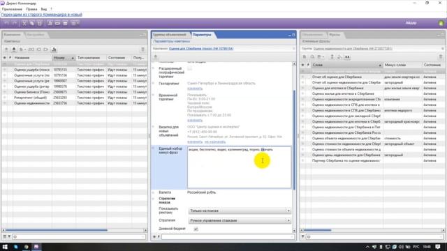 Аудит Яндекс Директ. Независимая оценка. Команда Sinnaps. смотреть онлайн