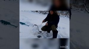 Поездка на рыбалку! Мотобуксировщик 9 л.с(FORZA)