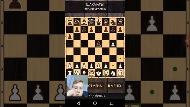 Короче говоря, шахматы с ботом смотреть онлайн