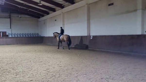 26 января 2022 г.