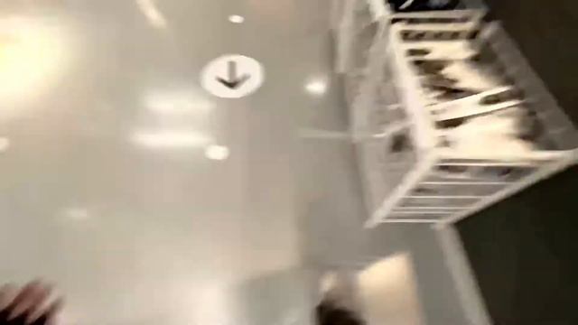 ПАРАДЕЕВИЧ СИЛЬНО ЗАХОТЕЛ В ТУАЛЕТ НА СТРИМЕ смотреть онлайн